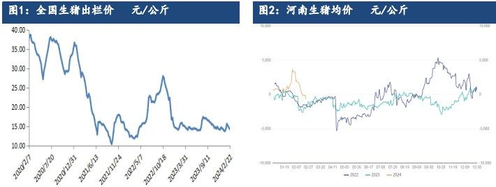 生猪供需仍显宽松 走货仍面临一定压力