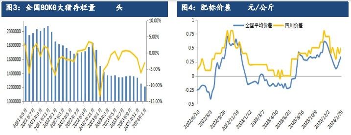 生猪供需仍显宽松 走货仍面临一定压力