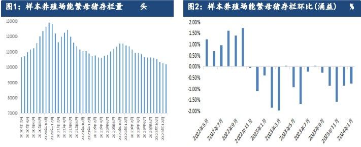 生猪供需仍显宽松 走货仍面临一定压力